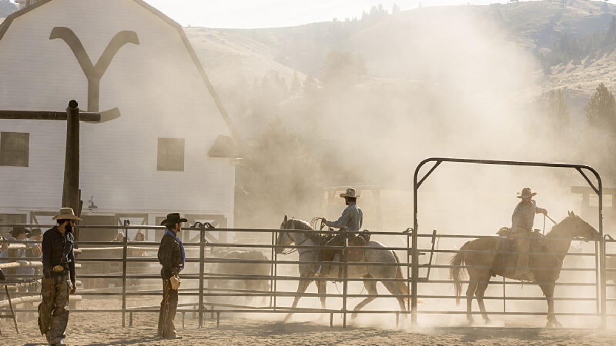 Cowboys on horses in the Yellowstone Dutton Ranch during the annual cattle branding exercise