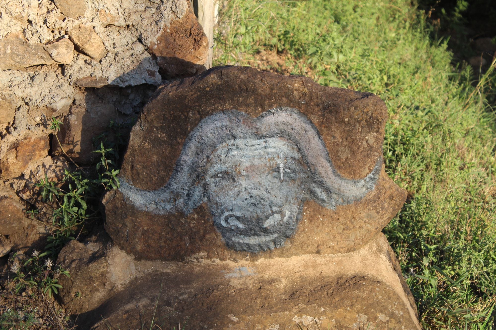 An image of a drawing of a Buffalo near the Hippo Hangout.