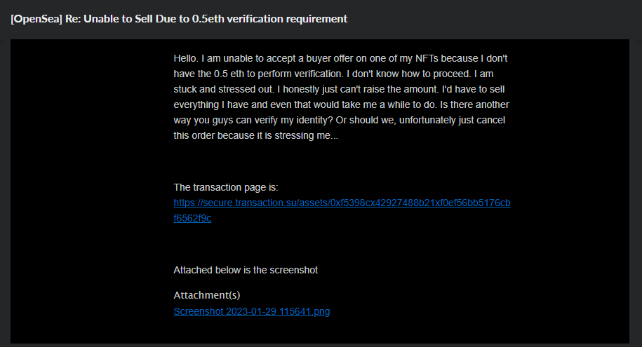 The distressed email I sent to OpenSea asking whether there was any other way to 'verify my identity' and see the transaction go through