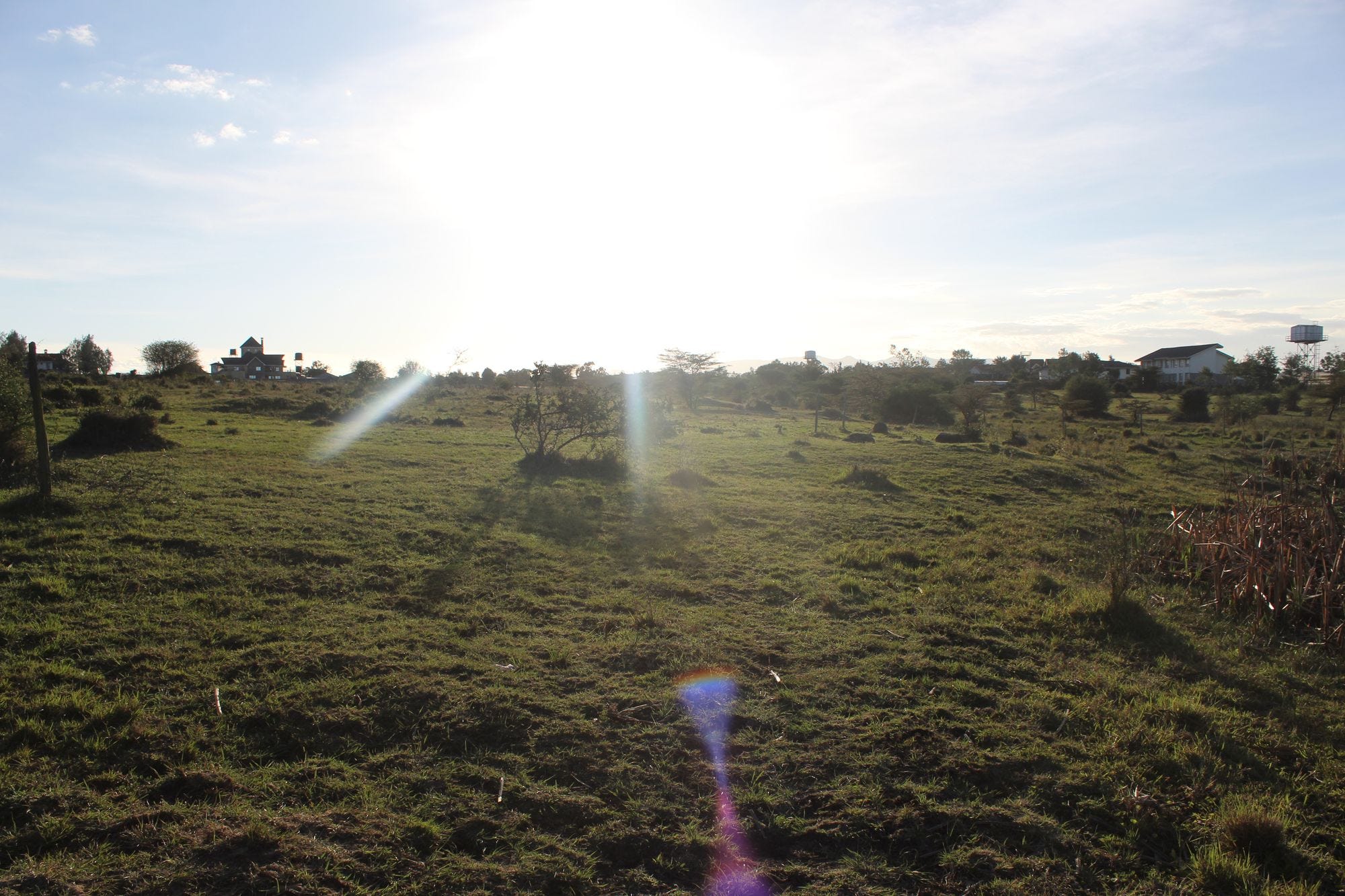 The Wide Expanse (Field) by the Hippo Hangout.