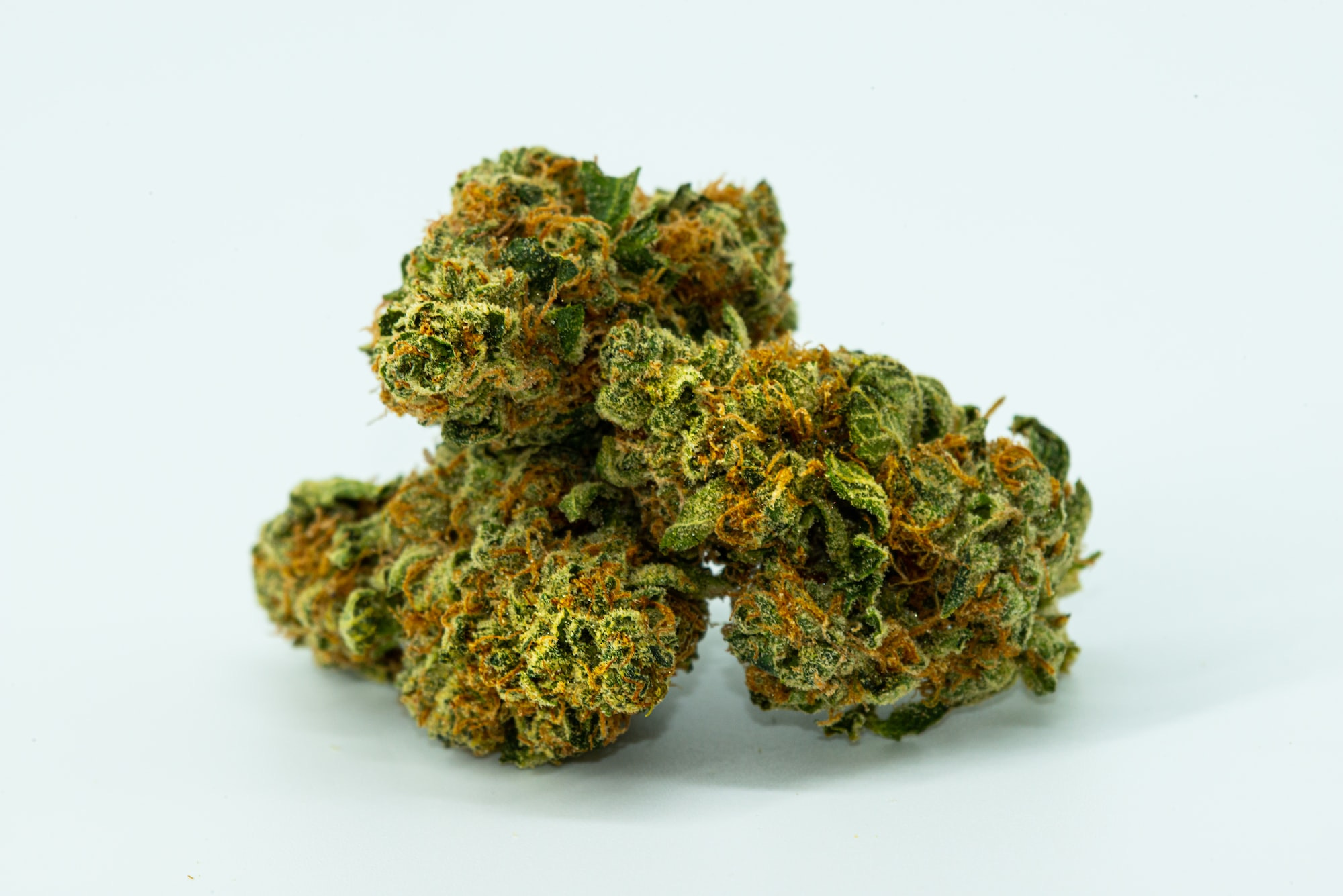 A picture of cannabis buds