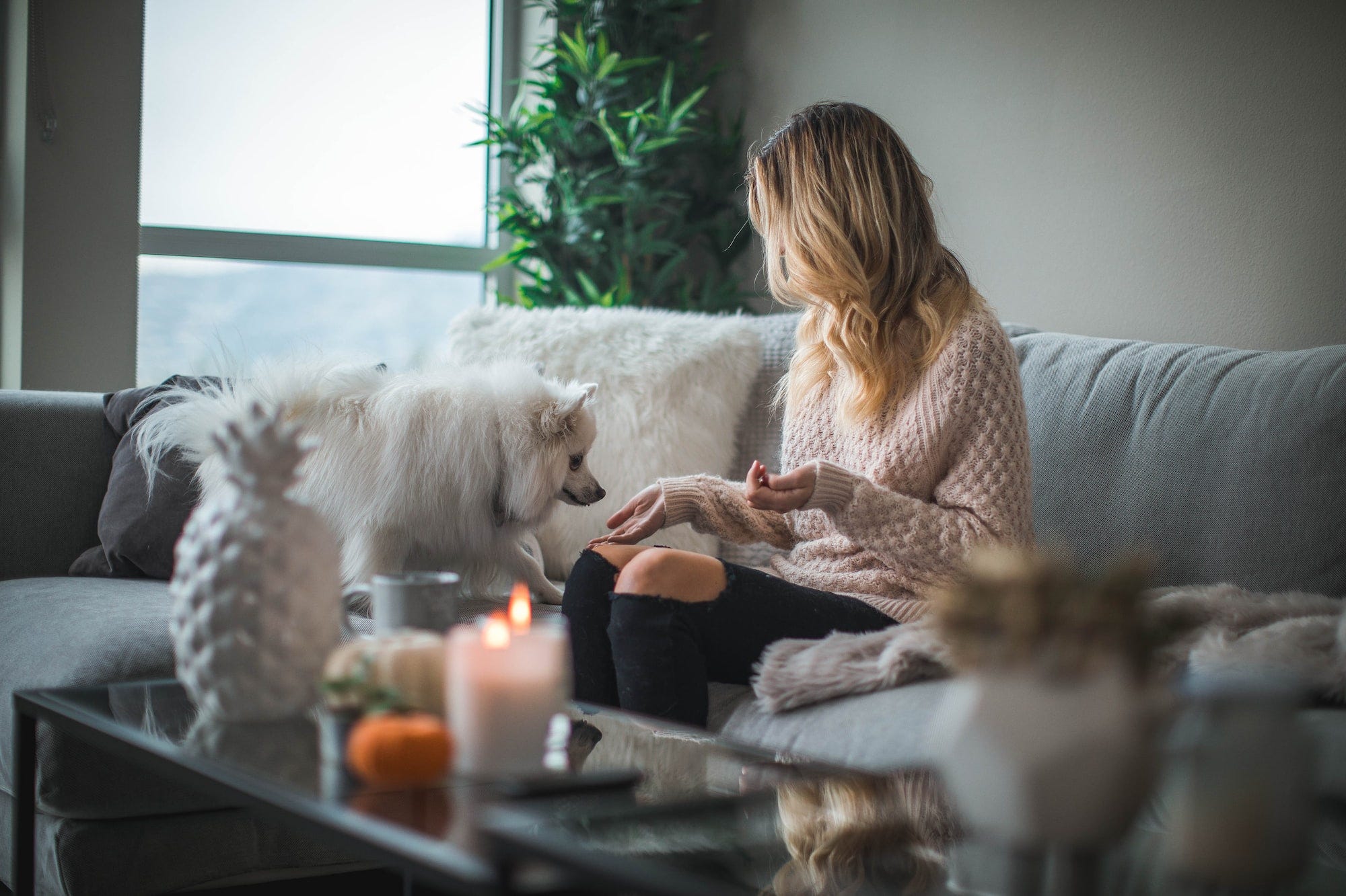 A woman seated on a couch with her dog as they play