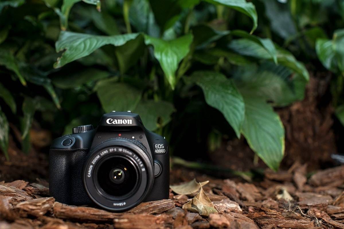 Canon EOS 4000D Camera Review: Is the Canon EOS 4000D Good for Beginners?