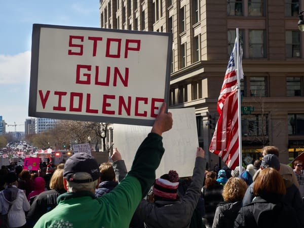 The Causes of Gun Violence and How to Mitigate It