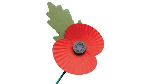 The remembrance poppy