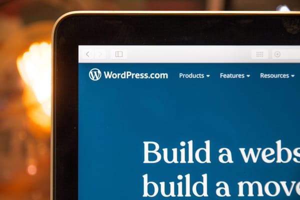 Why You Need a WordPress Developer for your New Site